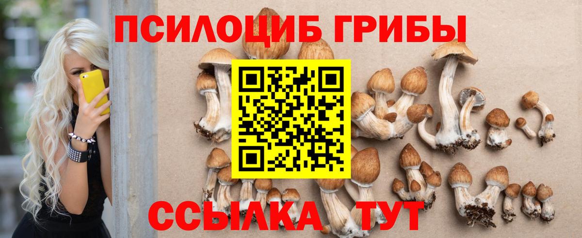 Псилоцибиновые грибы Psilocybine cubensis  Вход с VPN  закладки  Туймазы 
